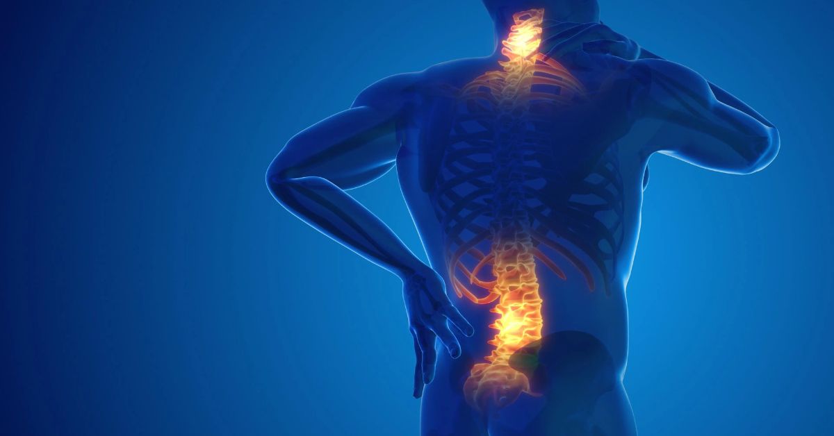 Ilustración de la columna vertebral resaltada indicando dolor lumbar y cervical y como aliviar el dolor crónico sin fármacos